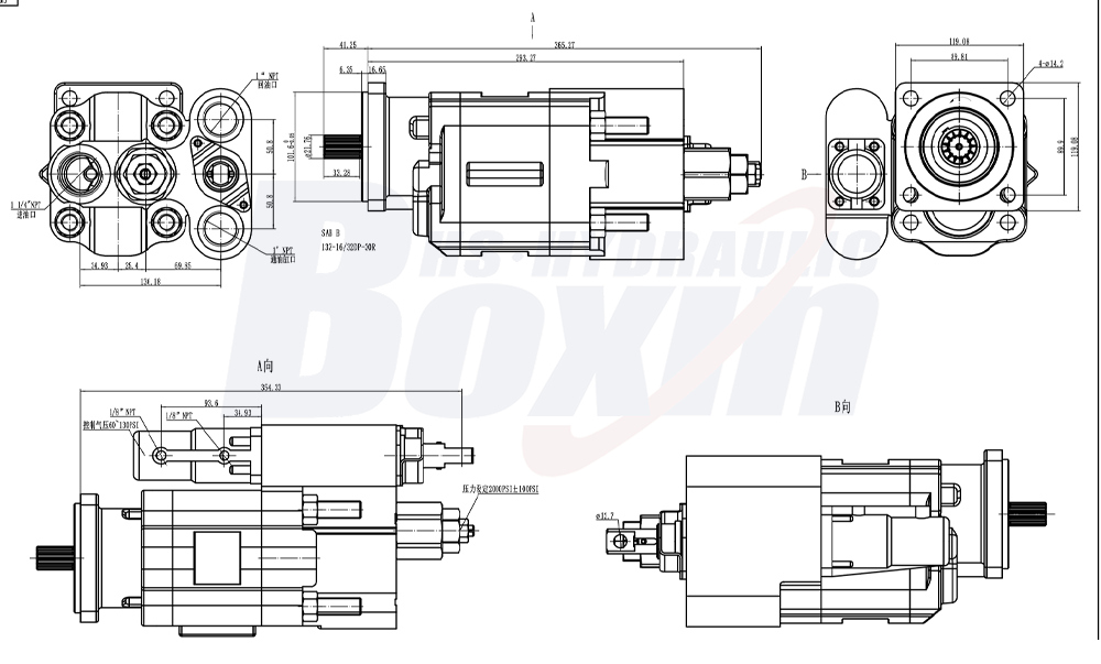 C102 100 ซีซี/รอบ แรงดัน 20 MPa (2900 psi) ปั๊มเฟืองไฮดรอลิก drawing image