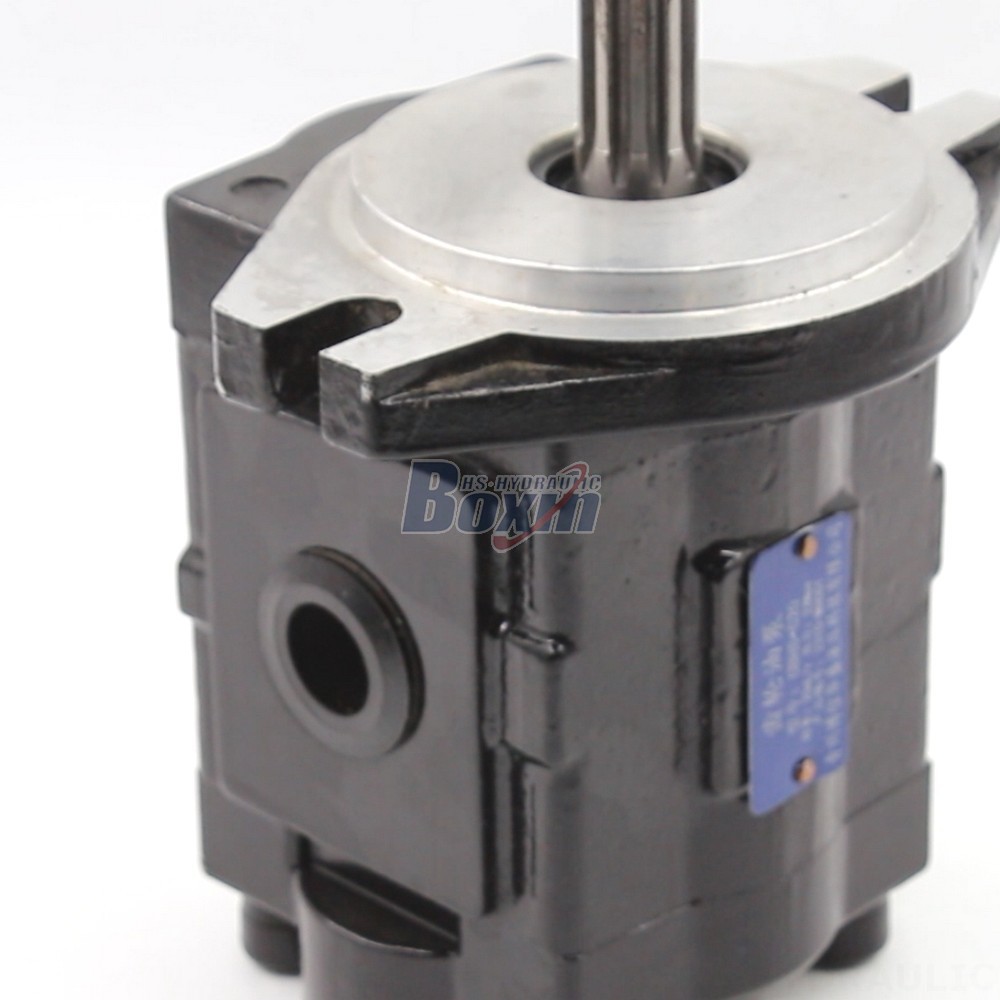 20 cc/rev Hydraulic Gear Pump: High Flow & Efficiency | Wholesale Prices detail image