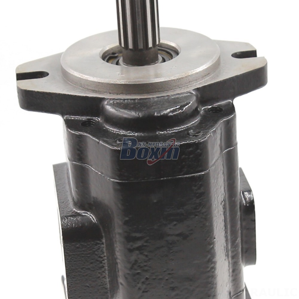 Direct from the Source: 40 cc/rev Hydraulic Gear Pumps - Factory Pricing detail image
