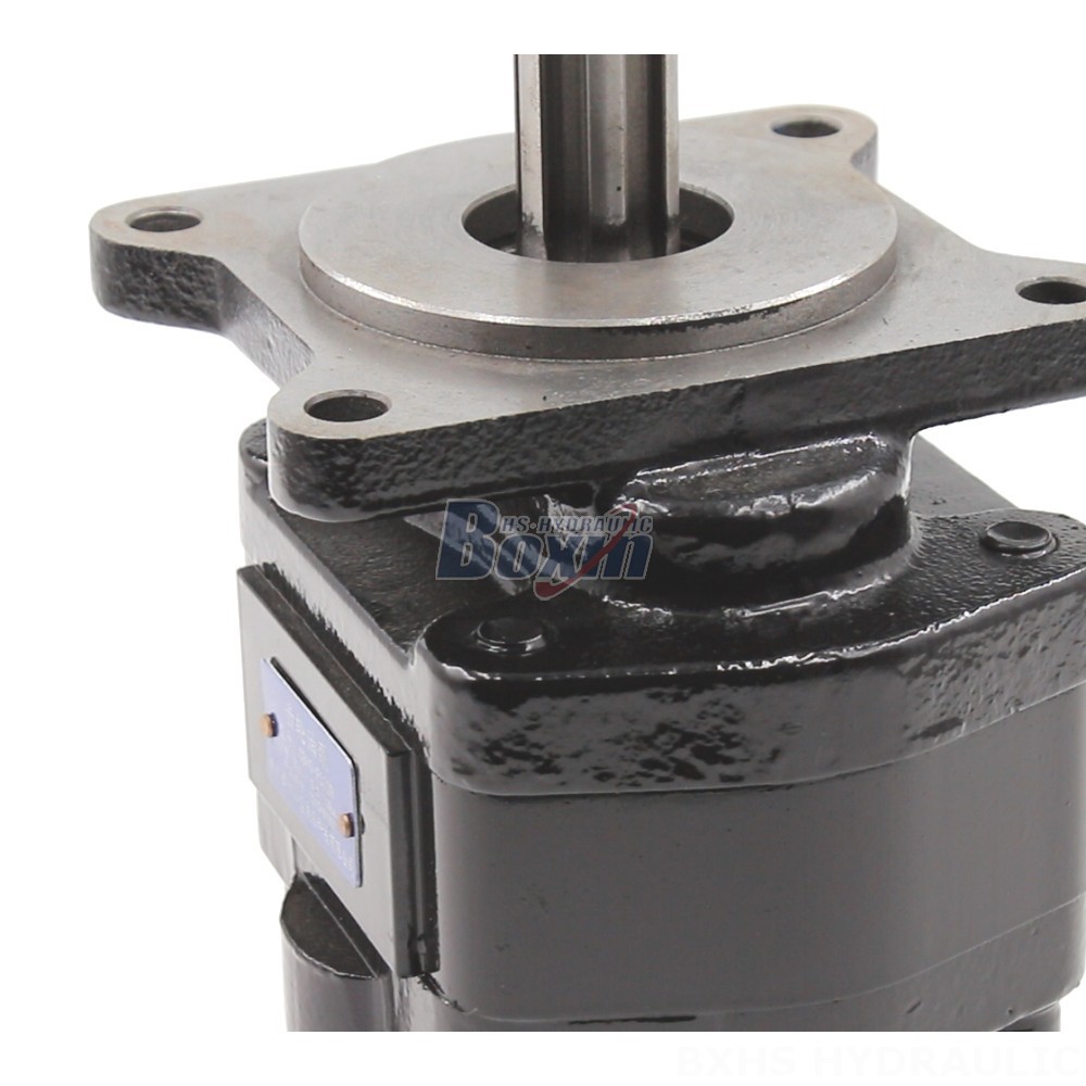 20 cc/rev Hydraulic Gear Pump: Wholesale & OEM Supply detail image