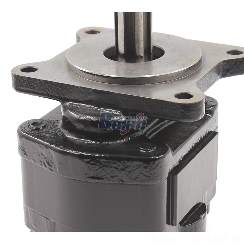 20 cc/rev Hydraulic Gear Pump: Wholesale & OEM Supply detail image