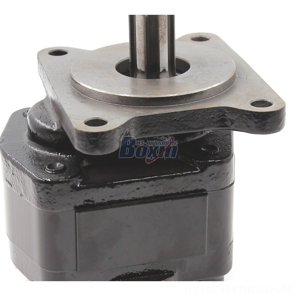 20 cc/rev Hydraulic Gear Pump: Wholesale & OEM Supply detail image