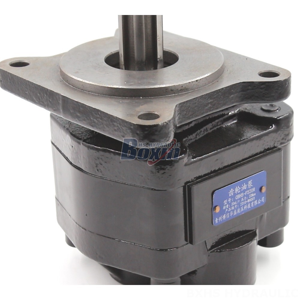 20 cc/rev Hydraulic Gear Pump: OEM & ODM Services Available detail image