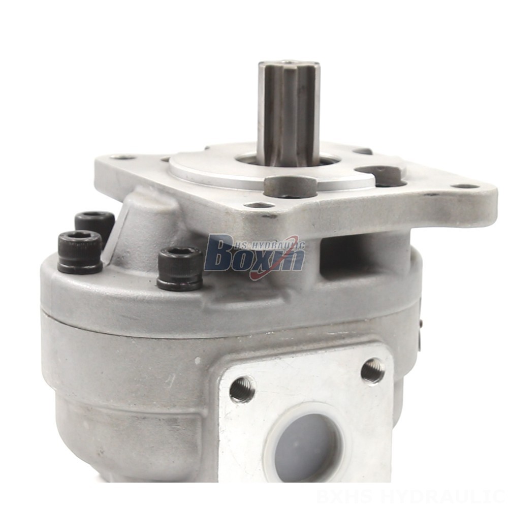 CBHS-F550 Gear Pump OEM/ODM: Tailored Solutions for Your Applications detail image