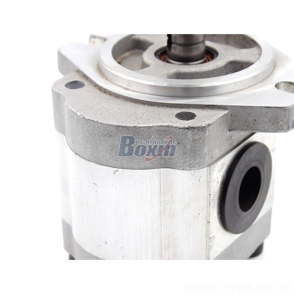 Industrial 6 cc/rev Gear Pump | Reliable & Efficient detail image