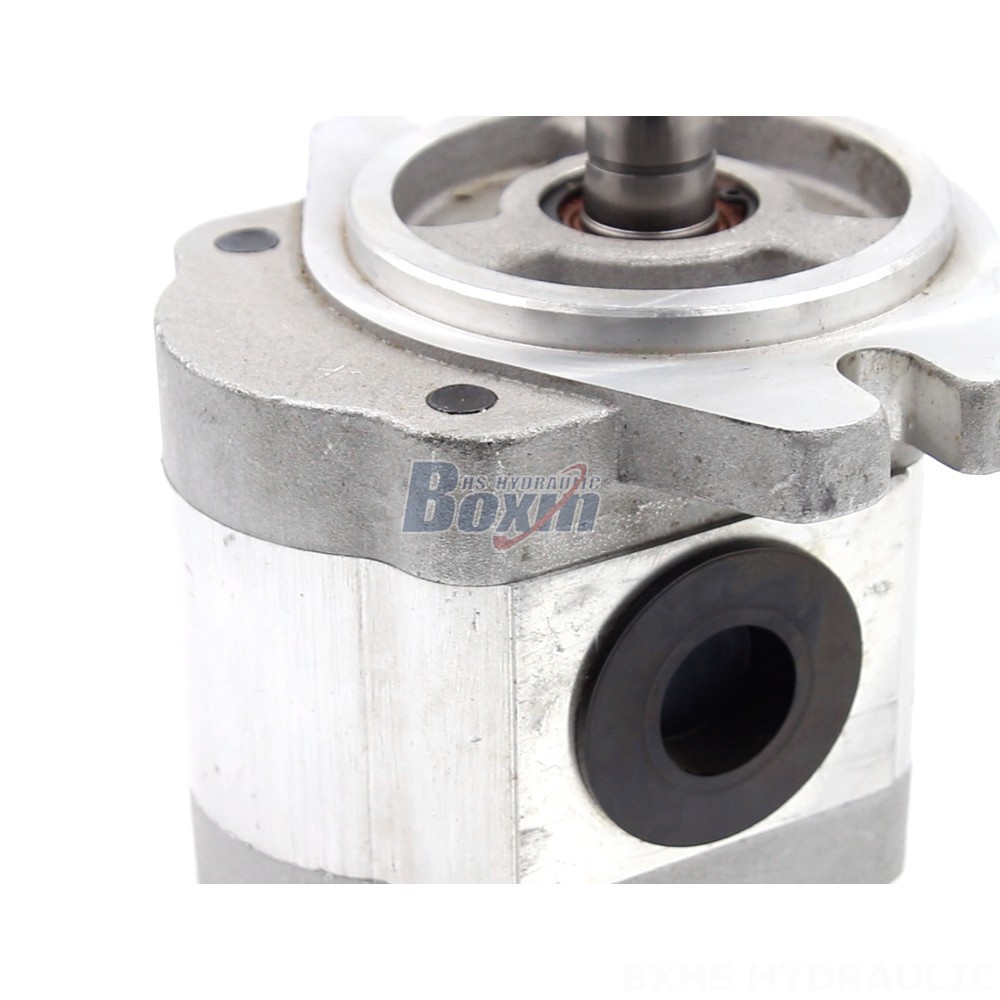 Customizable 6 cc/rev Hydraulic Gear Pump: OEM & ODM Manufacturing detail image