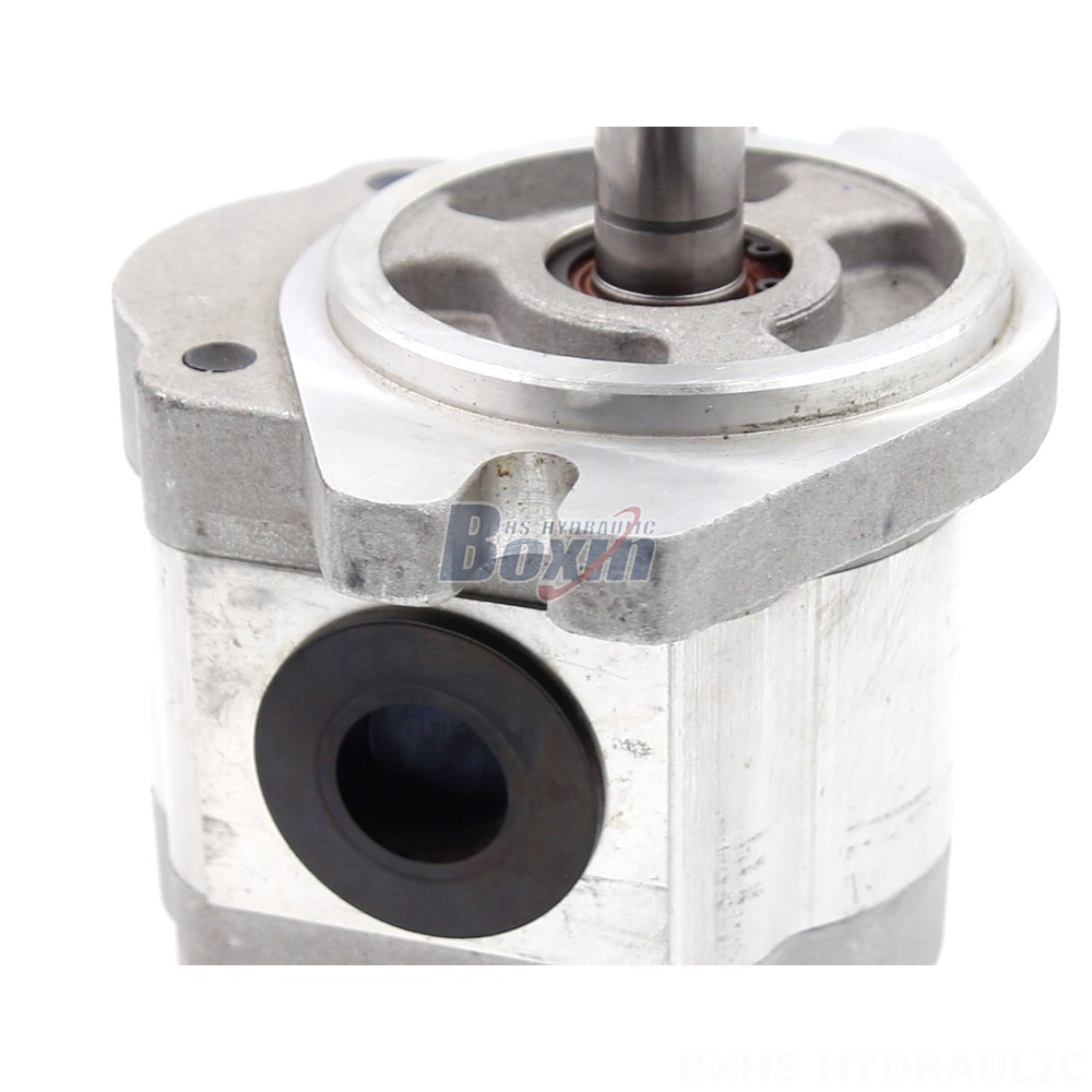 Customizable 6 cc/rev Hydraulic Gear Pump: OEM & ODM Manufacturing detail image