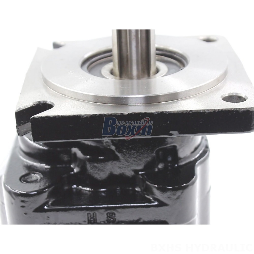 JHP2063 63 cc/rev Hydraulic Gear Pump: OEM & ODM Services Available detail image
