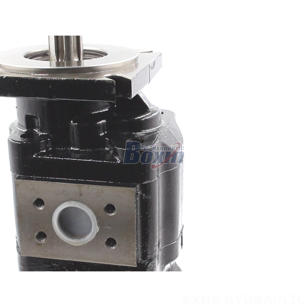 Partnership Opportunities: JHP2080-2080 Hydraulic Gear Pump Distribution detail image