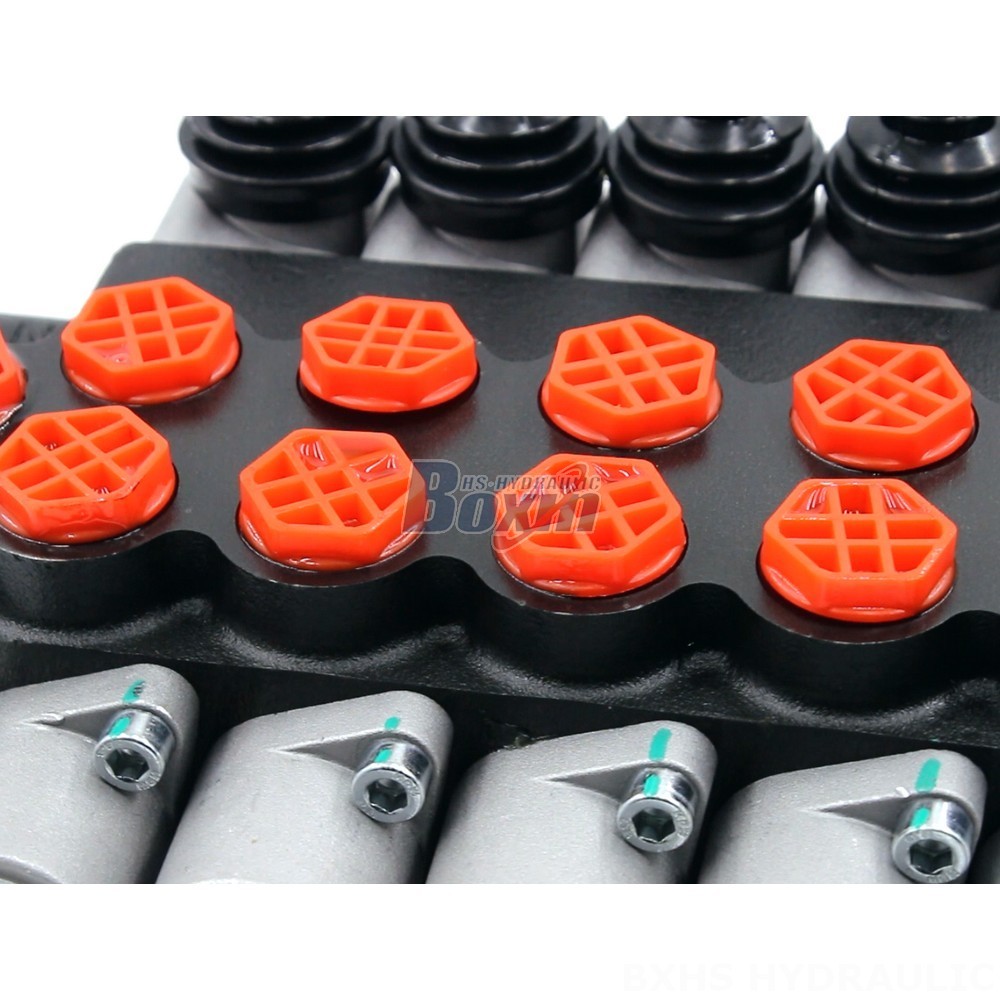 P40-G12-G38 Monoblock Directional Valve | Private Label & OEM Manufacturing detail image