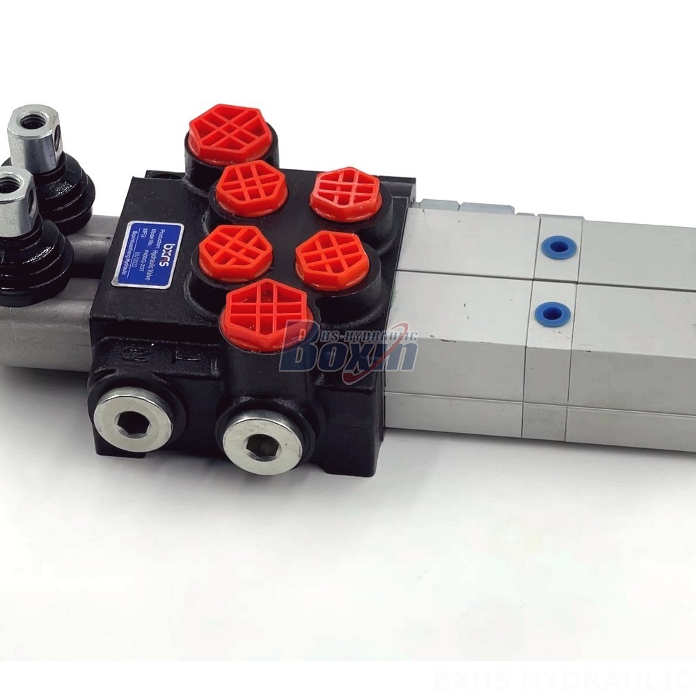 P40 Pneumatic 2 Spool Monoblock Directional Valve detail image