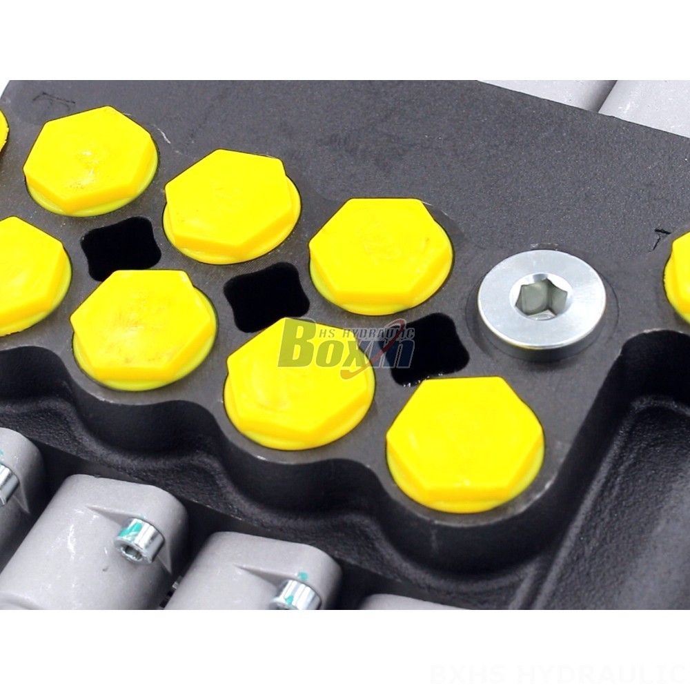 Personalized Hydraulic Valve Manufacturing: Partner with Us to Create Your Ideal P80-G34-G12-AT-3OT Valve detail image