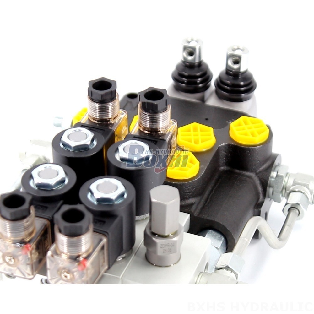 Manufacturer of P80 Monoblock Valves: Wholesale & Customization Available detail image
