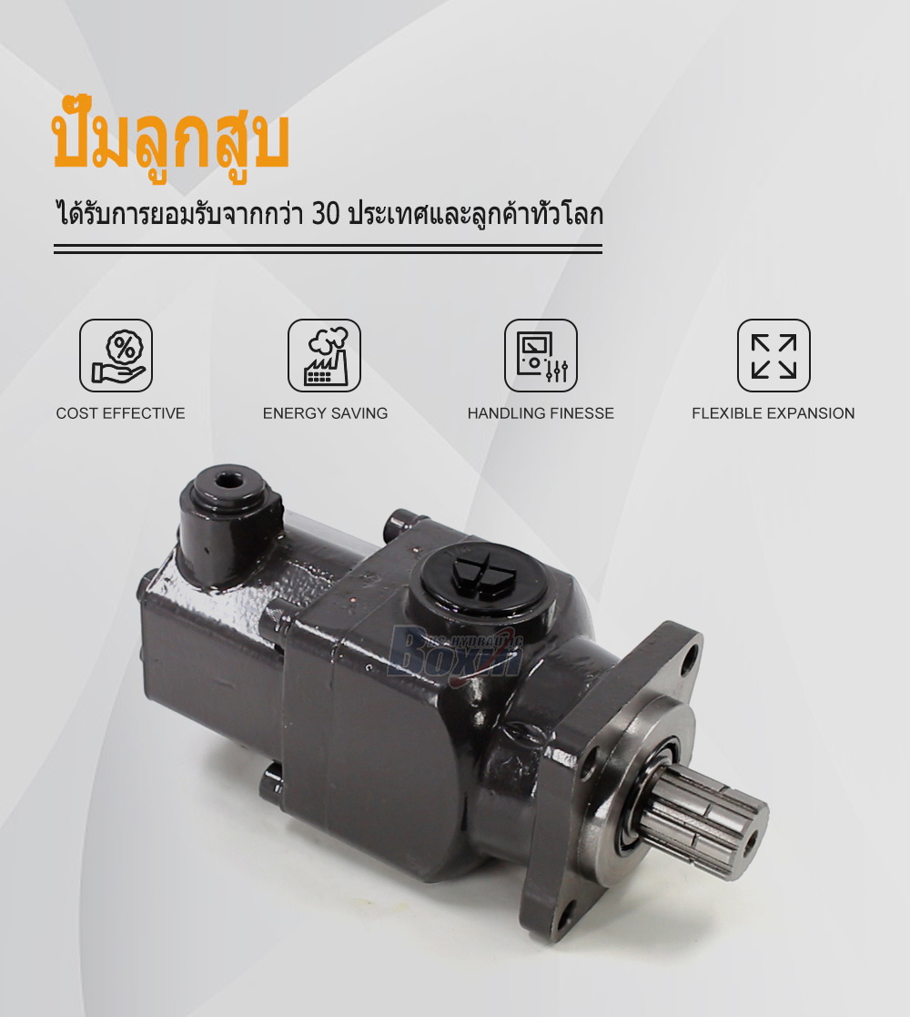 B6-50 50 ซีซี/รอบ แรงดัน 25 MPa (3625 psi) ปั๊มลูกสูบไฮดรอลิก