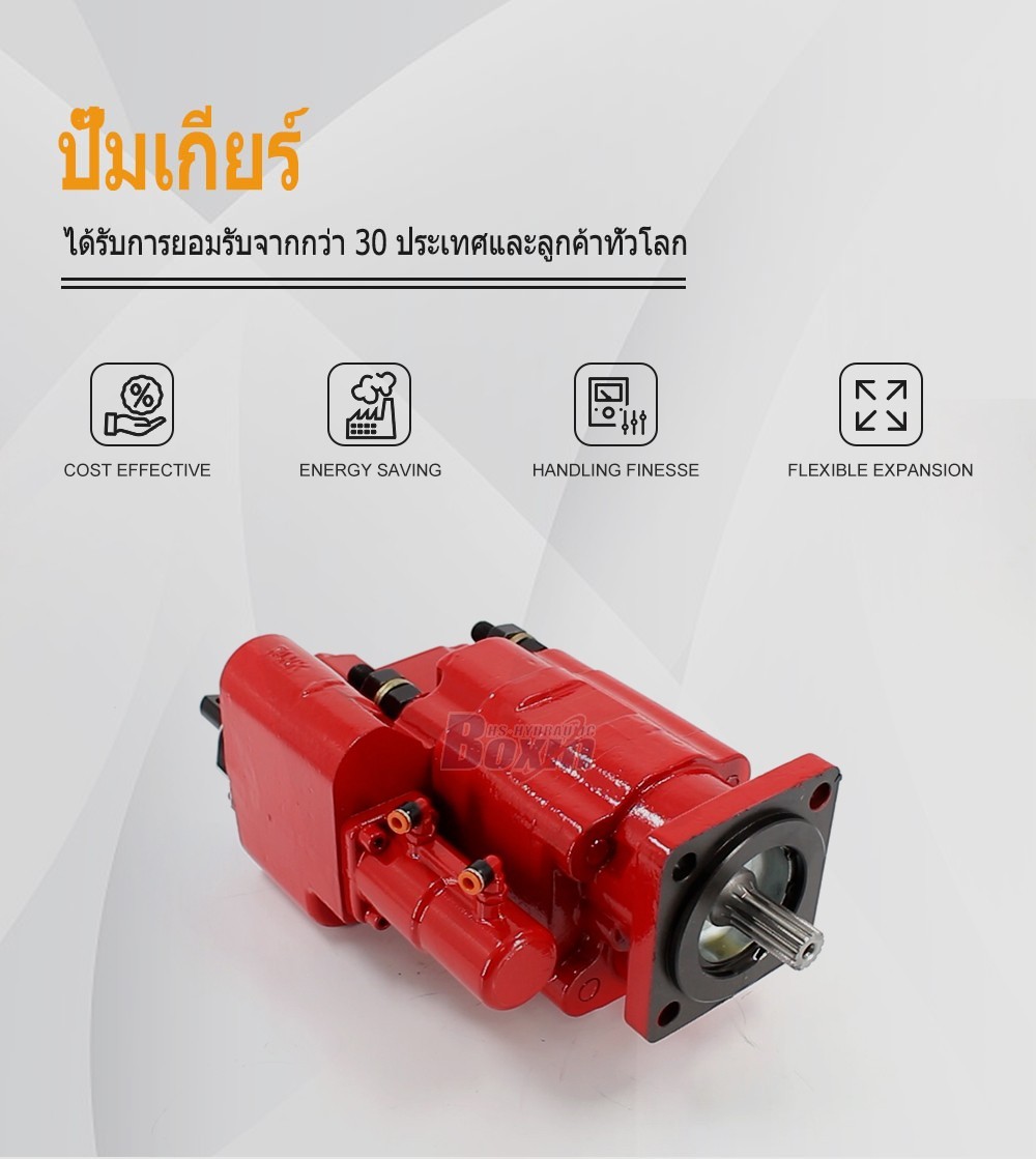 Wholesale Price C102-AS-25-H 100 cc/rev Hydraulic Gear Pump from Manufacturer