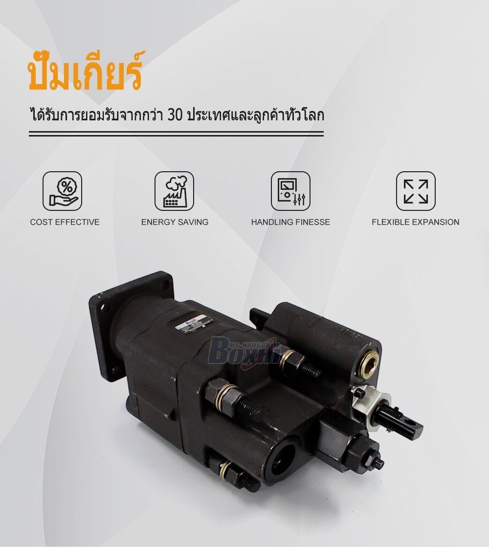 C102-LMS-25 100 ซีซี/รอบ แรงดัน 20 MPa (2900 psi) ปั๊มเฟืองไฮดรอลิก