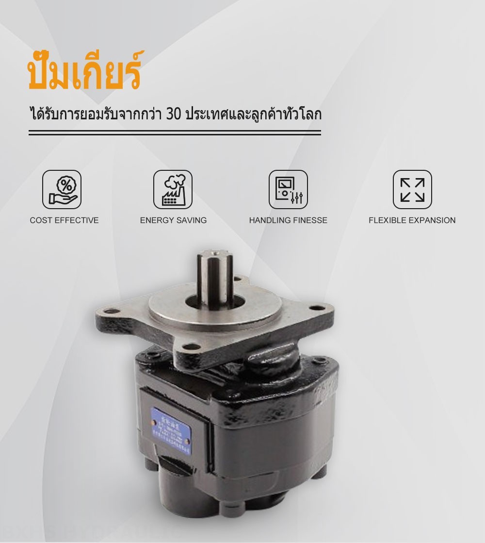 CBHS-F520R ปริมาตรการส่งออกต่อรอบ 20 ซีซี ปั๊มเฟืองไฮดรอลิก