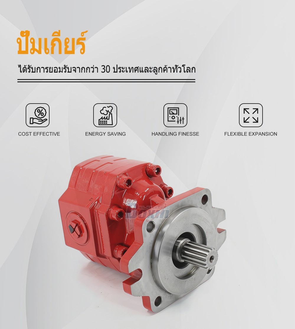 CBHS3100 100 ซีซี/รอบ แรงดัน 20 MPa (2900 psi) ปั๊มเฟืองไฮดรอลิก