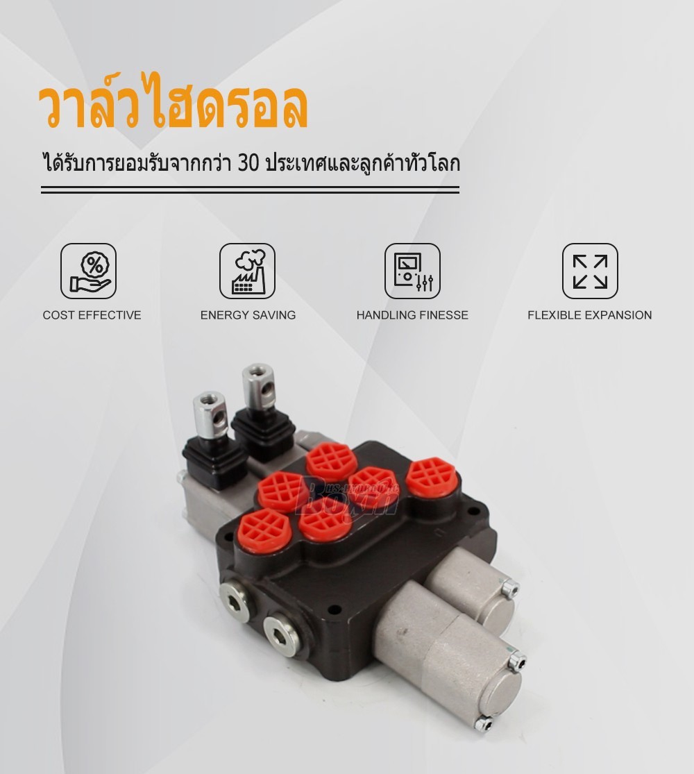 DCV20 ด้วยตนเอง 2 สปูล วาล์วควบคุมทิศทางแบบโมโนบล็อก