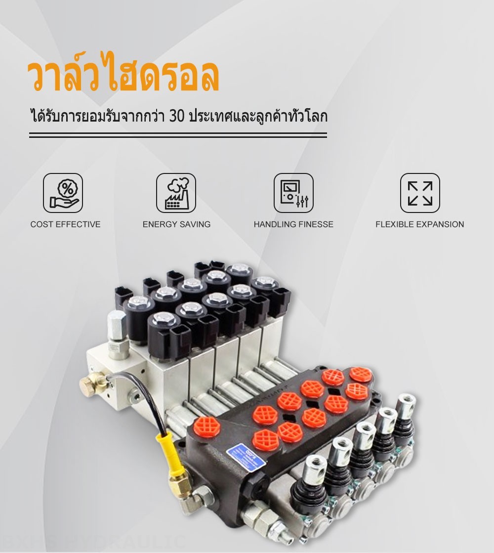 DCV40Z ด้วยตนเอง 5 สปูล วาล์วทิศทางโมโนบล็อก