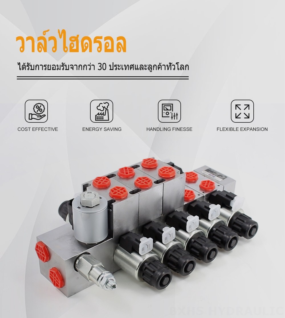 DCV56 ไฟฟ้าแปรผัน 5 สปูล วาล์วทิศทางส่วน