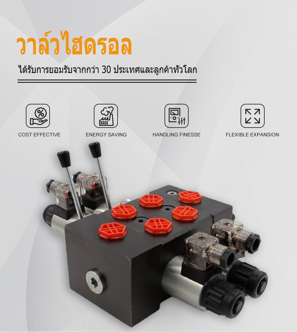 DCV58 โซลินอยด์ 2 สปูล วาล์วทิศทางส่วน