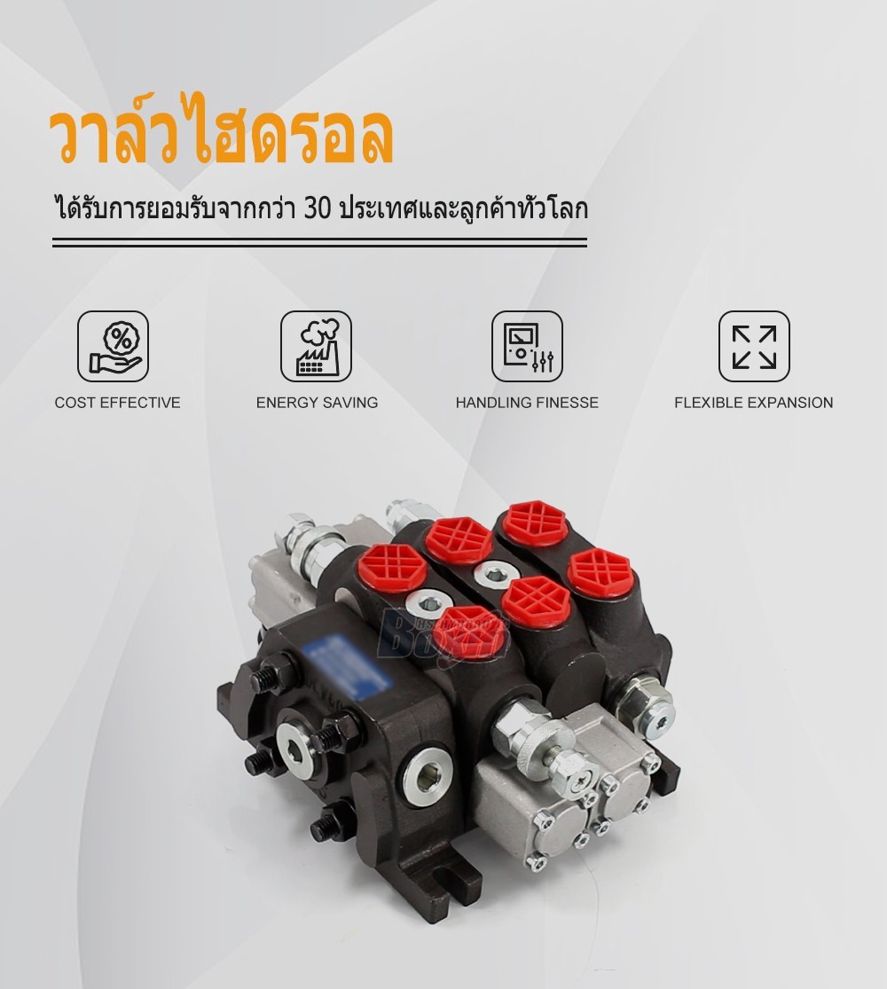 DCV60-FZJ ด้วยตนเอง 2 สปูล วาล์วทิศทางส่วน