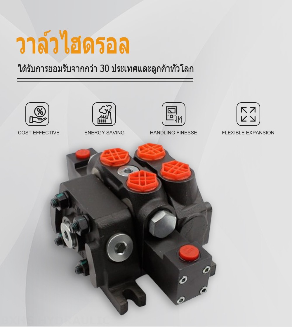 DCV60-G34 ไฮดรอลิก 1 สปูล วาล์วทิศทางส่วน