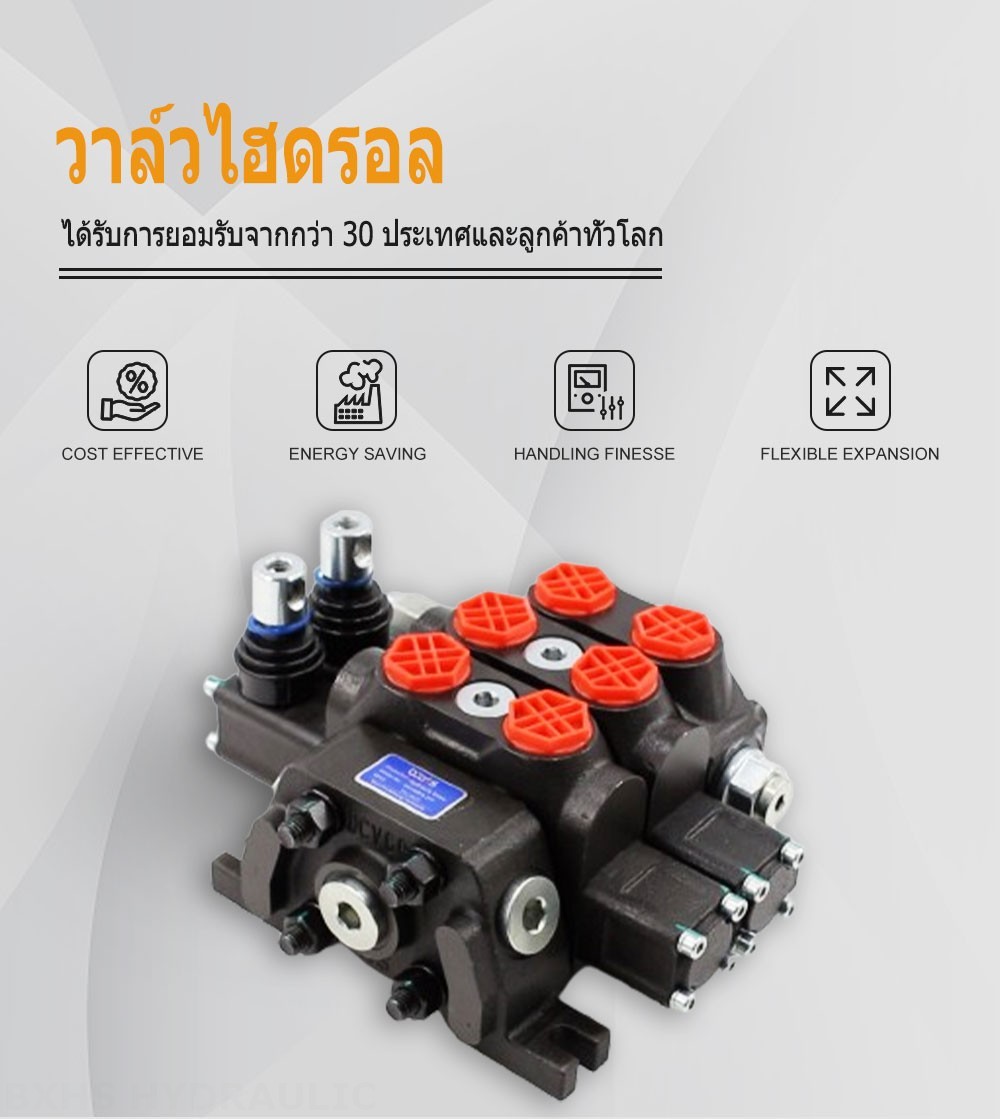 DCV60 ด้วยตนเอง 2 สปูล วาล์วทิศทางส่วน