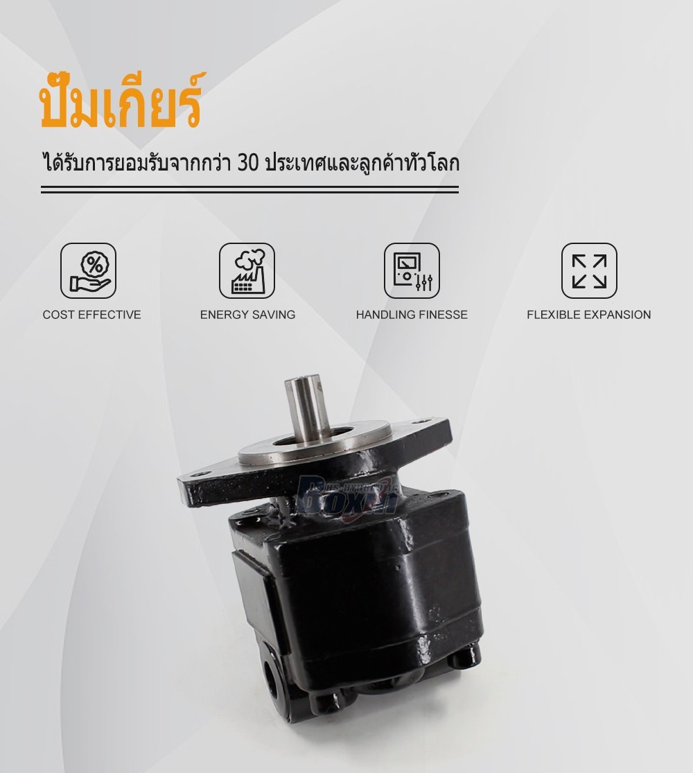 CBHS-FC25 25 ซีซี/รอบ แรงดัน 20 MPa (2900 psi) ปั๊มเฟืองไฮดรอลิก