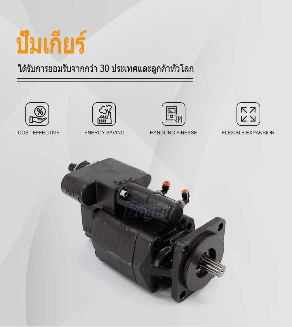 Custom OEM ODM Service for G102-AS 63 cc/rev Hydraulic Gear Pump with Private Labeling