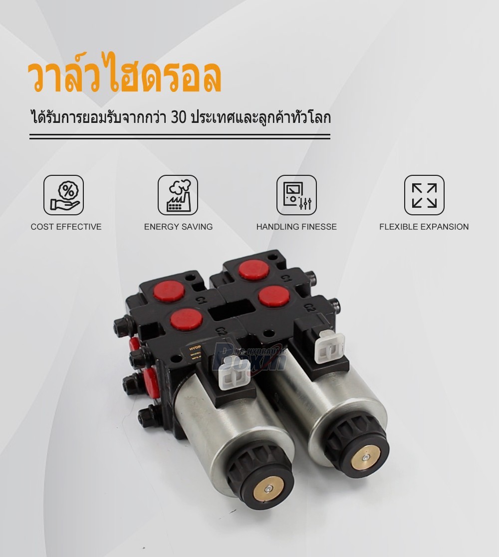 HSV09-2 โซลินอยด์ 2 สปูล วาล์วเบี่ยงทิศทางการไหล (Flow Diverter Valve)