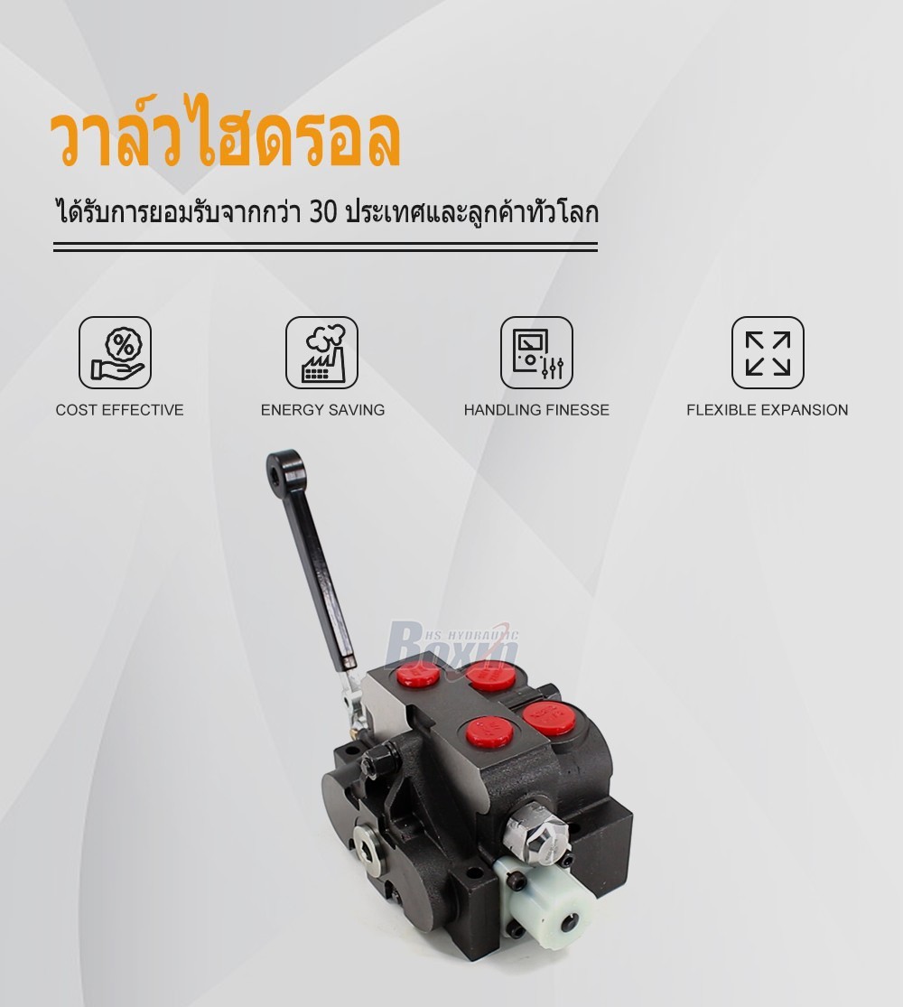 HSV20 ด้วยตนเอง 1 สปูล วาล์วทิศทางส่วน