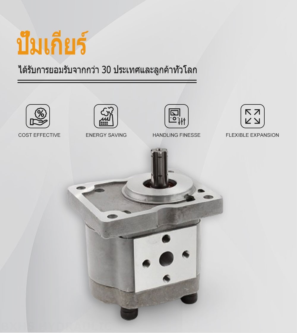 NSH-10 10 ซีซี/รอบ ปั๊มเฟืองไฮดรอลิก