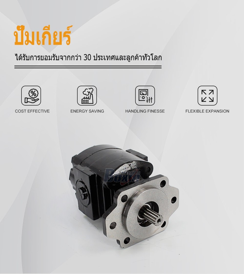 P21A646JEAL20-25 64.6 cc/rev Hydraulic Gear Pump for Industrial Machinery