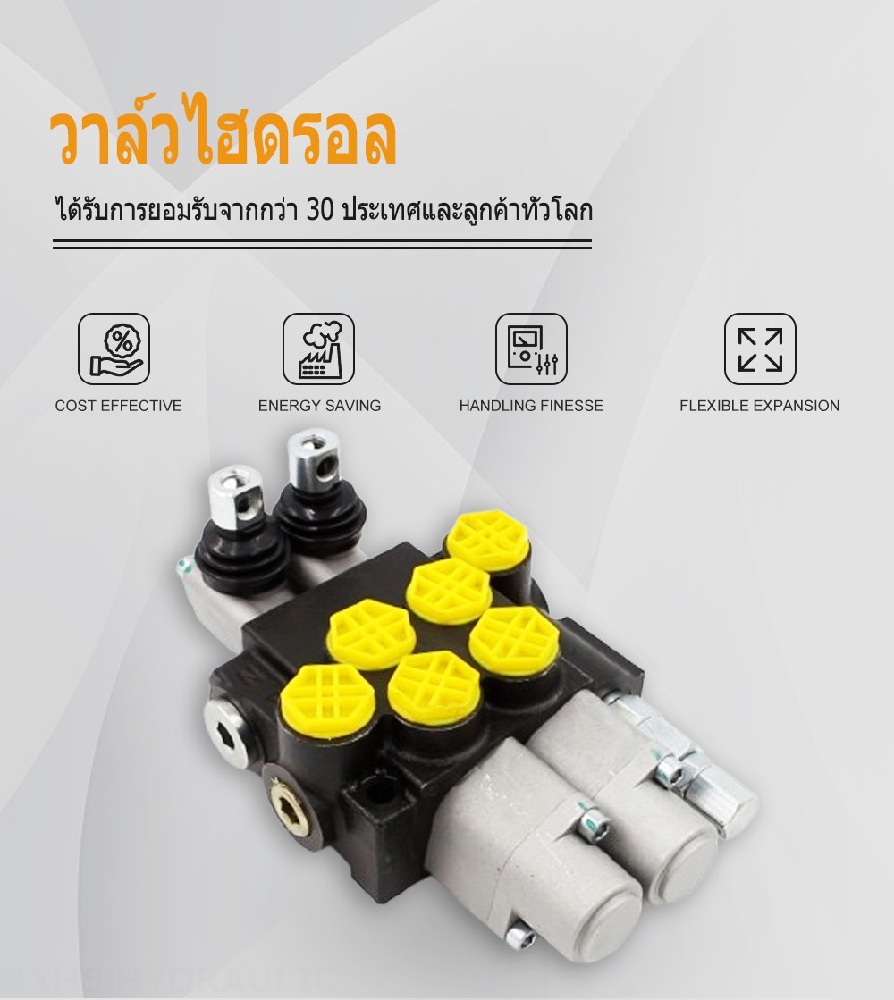 P40-G12-2OT ด้วยตนเอง 2 สปูล วาล์วทิศทางโมโนบล็อก