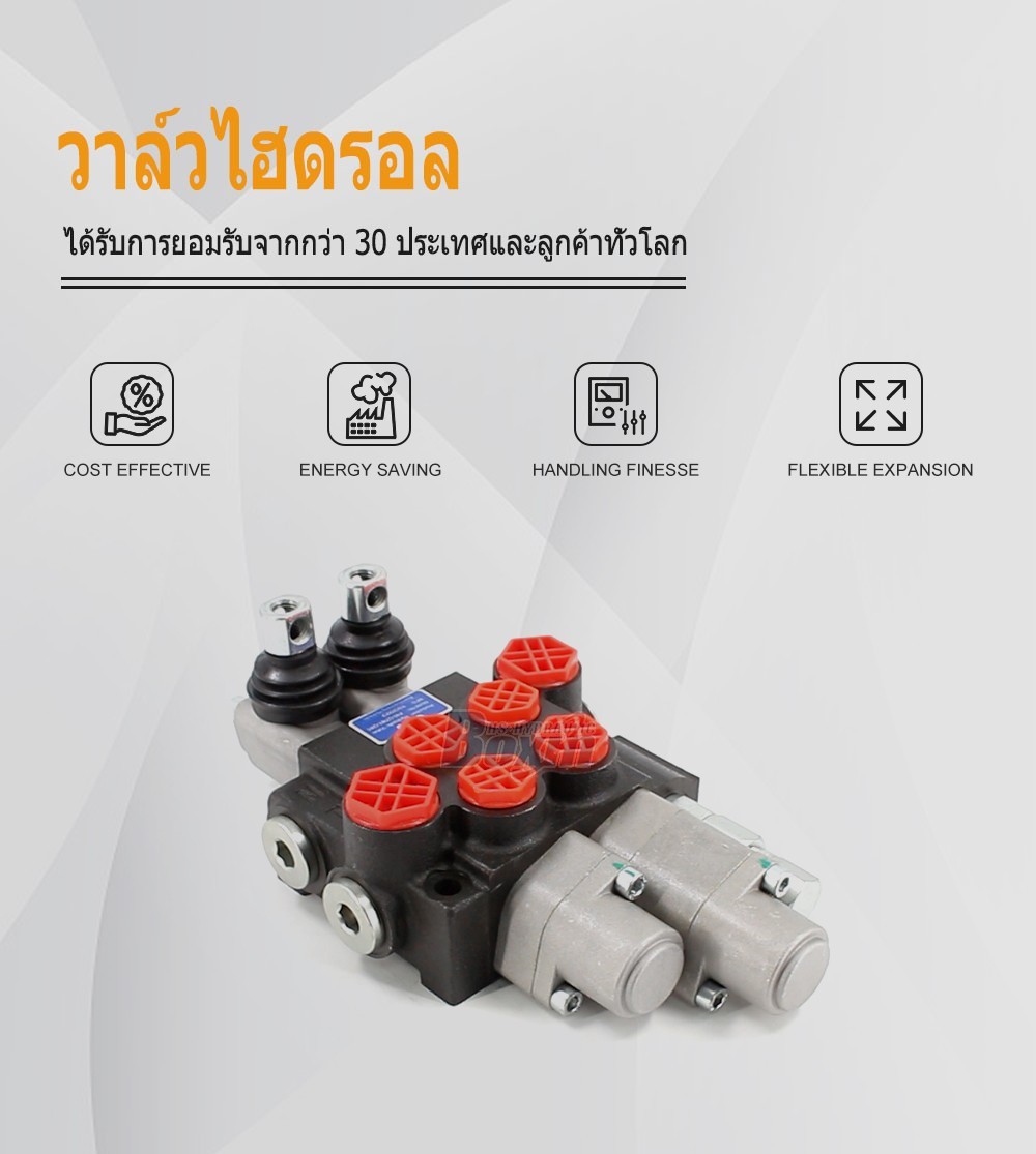 P40-QTW1-QW1 ด้วยตนเอง 2 สปูล วาล์วควบคุมทิศทางแบบโมโนบล็อก