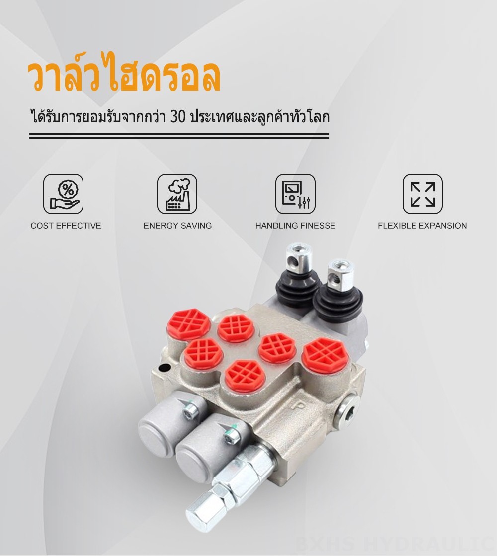 P40-XNHJ ด้วยตนเอง 2 สปูล วาล์วควบคุมทิศทางแบบโมโนบล็อก
