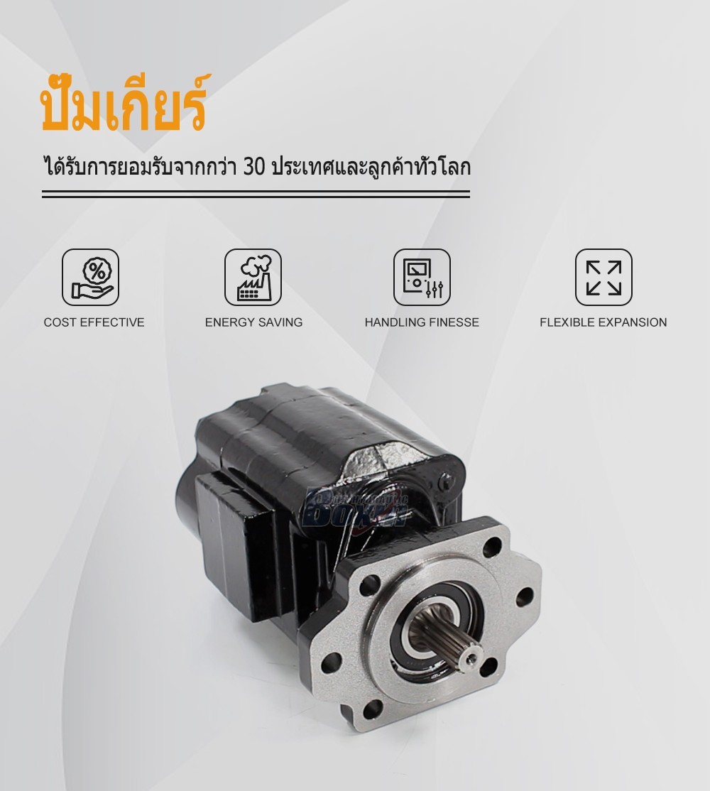 P51A646TEYR25-25 104.5 ซีซี/รอบ แรงดัน 16 MPa (2320 psi) ปั๊มเฟืองไฮดรอลิก