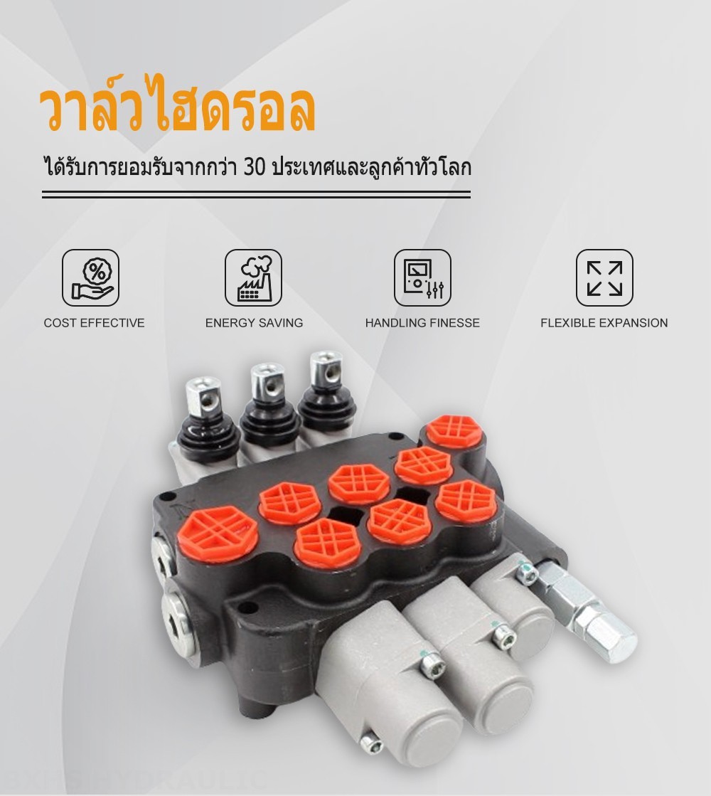 P80-G12-G34 ด้วยตนเอง 2 สปูล วาล์วทิศทางโมโนบล็อก