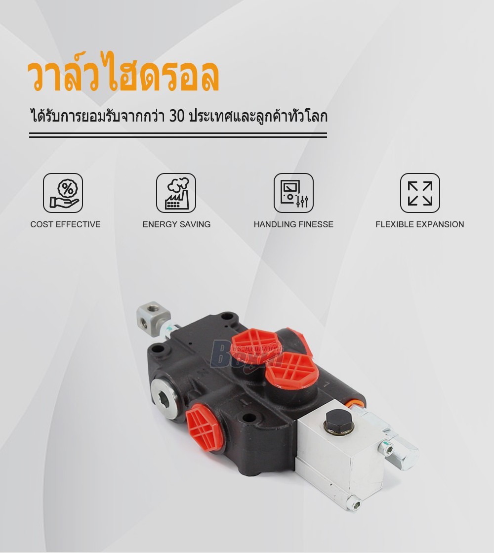P80A-OX 1 Spool Monoblock Directional Valve for Heavy Machinery