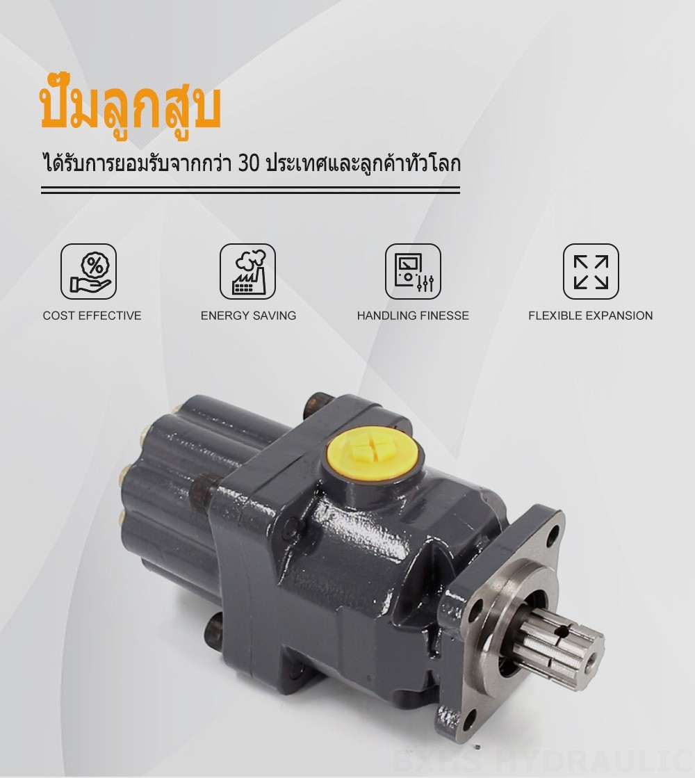 P9-80-H 80 ซีซี/รอบ แรงดัน 20 MPa (2900 psi) ปั๊มลูกสูบไฮดรอลิก