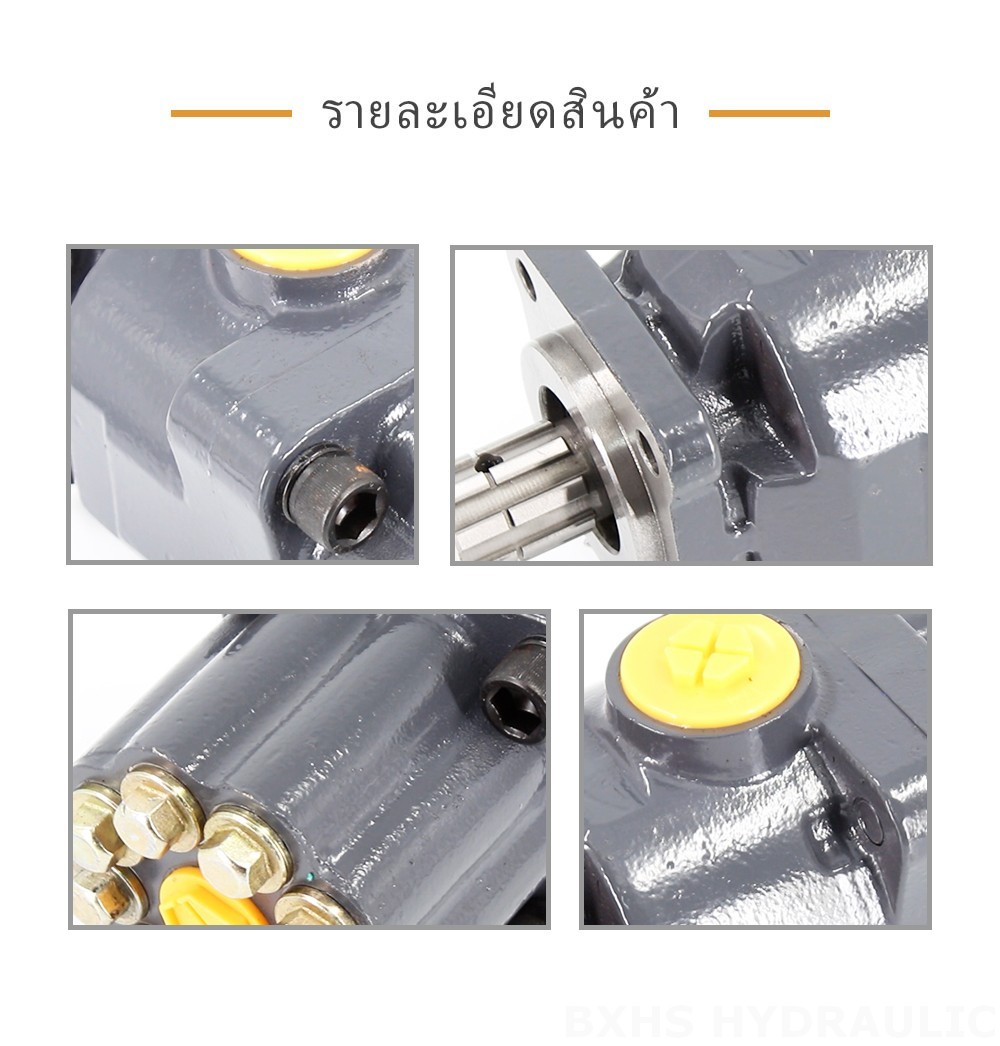 P9-80-H 80 ซีซี/รอบ แรงดัน 20 MPa (2900 psi) ปั๊มลูกสูบไฮดรอลิก