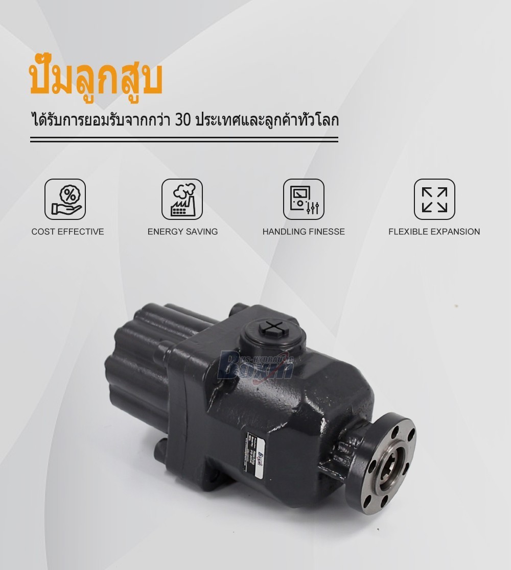 P9-80SK 80 ซีซี/รอบ แรงดัน 25 MPa (3625 psi) ปั๊มลูกสูบไฮดรอลิก