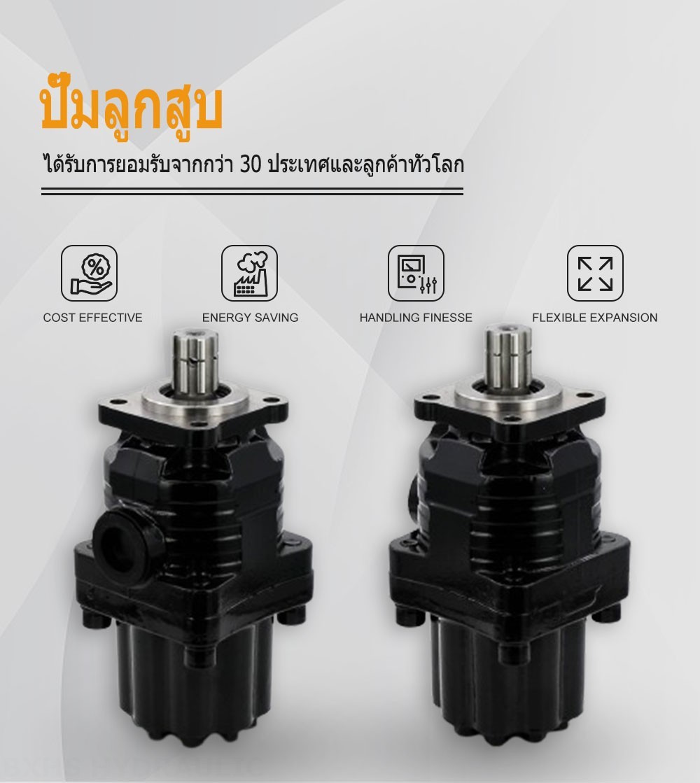 P9-80 80 ซีซี/รอบ ปั๊มลูกสูบไฮดรอลิก