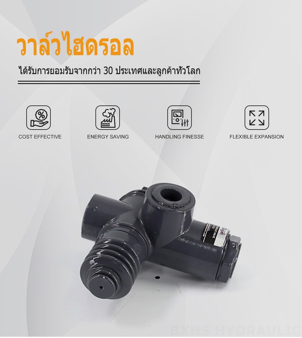QHF20  ด้วยตนเอง 1 สปูล วาล์วควบคุมทิศทางแบบโมโนบล็อก