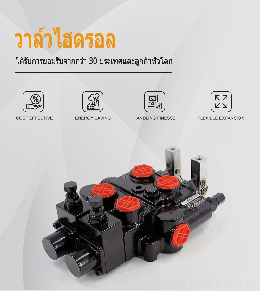 RD5200-OU2 ด้วยตนเอง 2 สปูล วาล์วควบคุมไฮดรอลิก