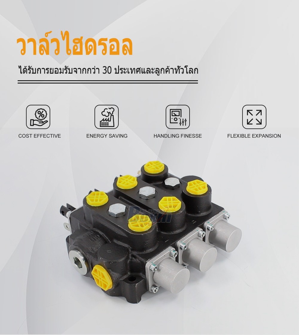 Factory Source RD5300NPT-3OT 3 Spool Manual Hydraulic Valve for Global Market