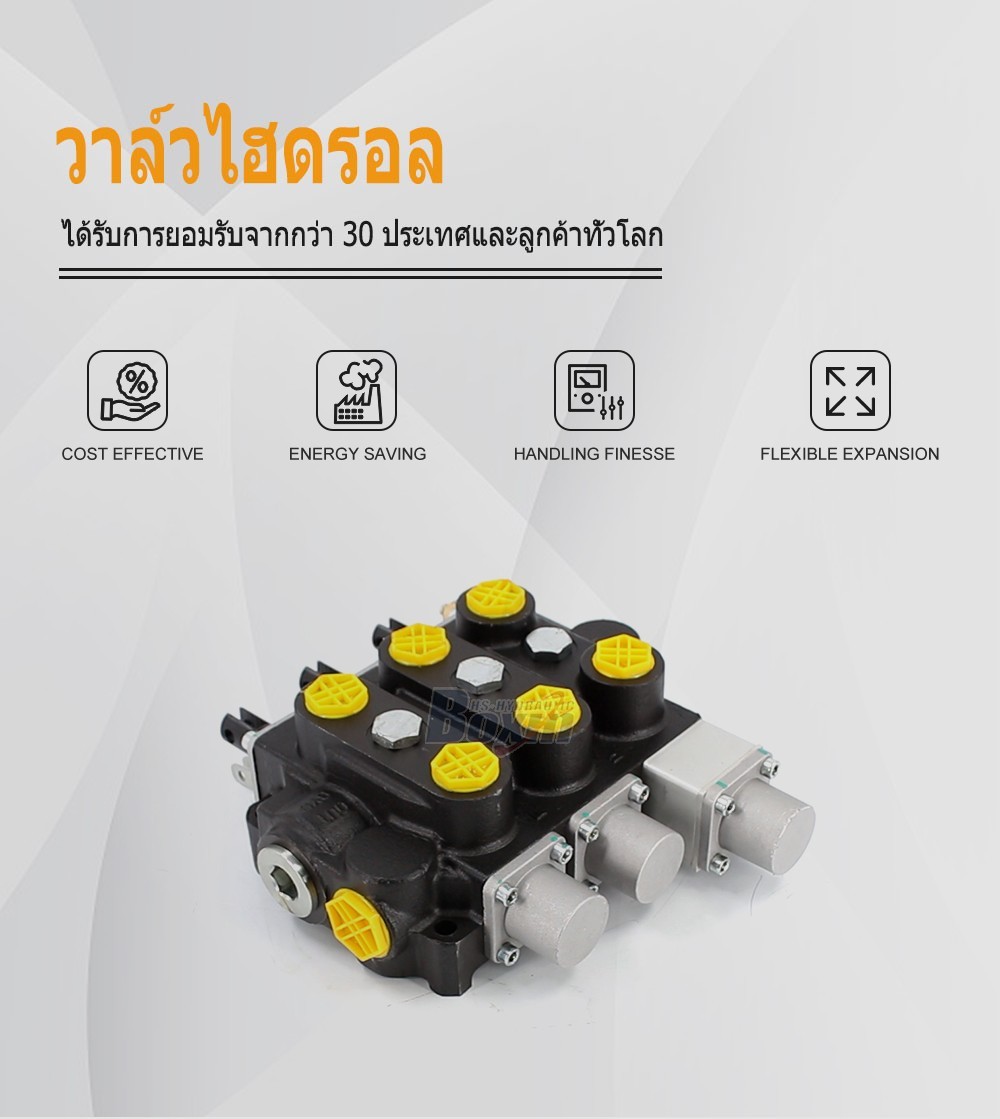 Wholesale Price RD5300NPT-QTW-2OT 3 Spool Hydraulic Valve from Manufacturer