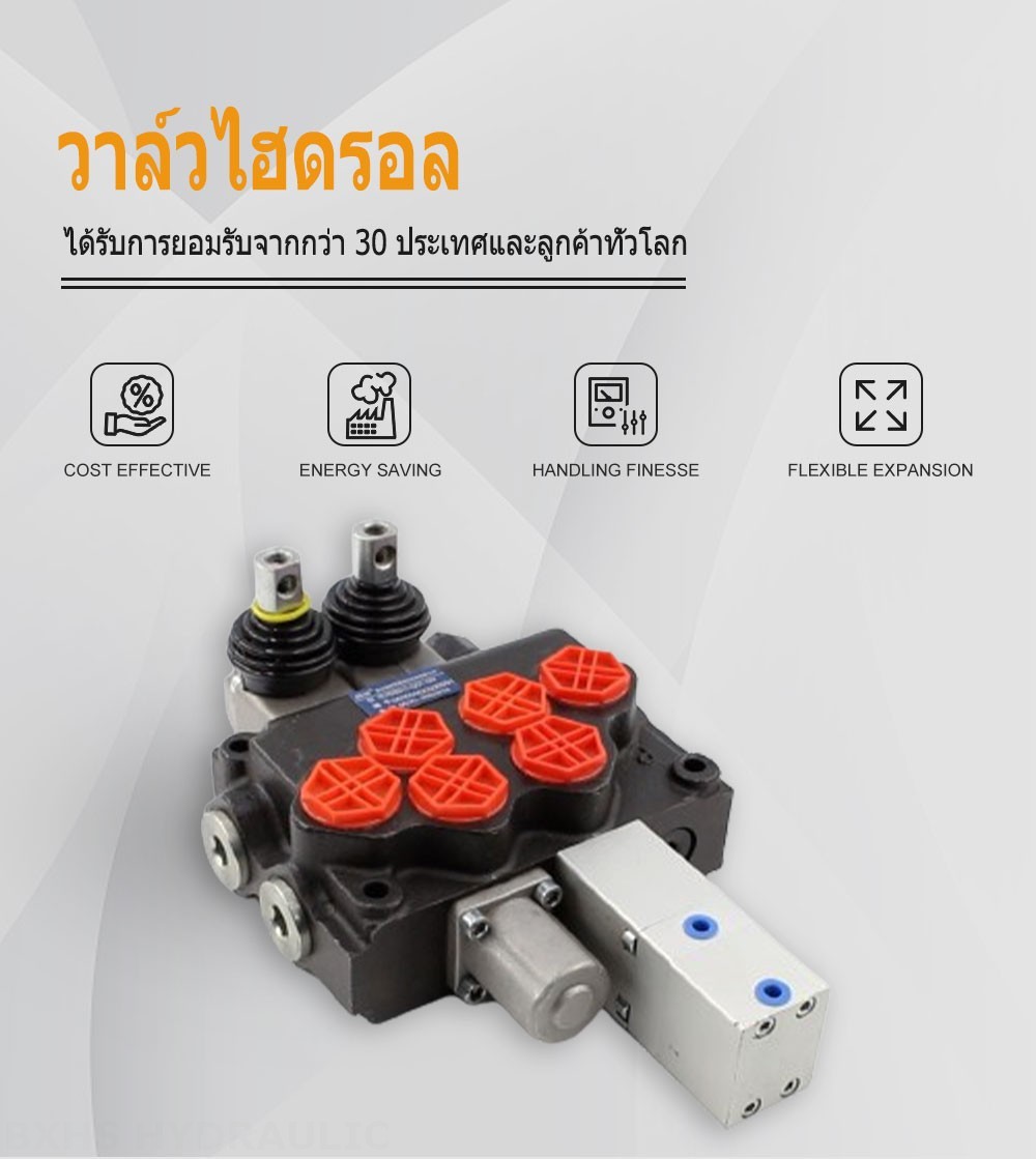 SD11 ด้วยตนเอง 1 สปูล วาล์วทิศทางโมโนบล็อก